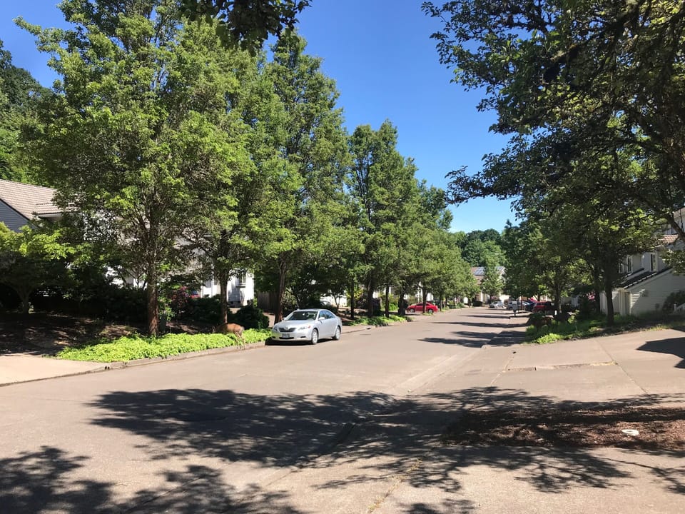 Quiet Neighborhood