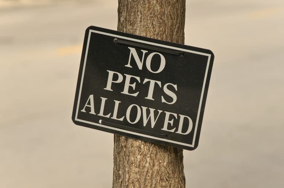 Sorry no pets allowed