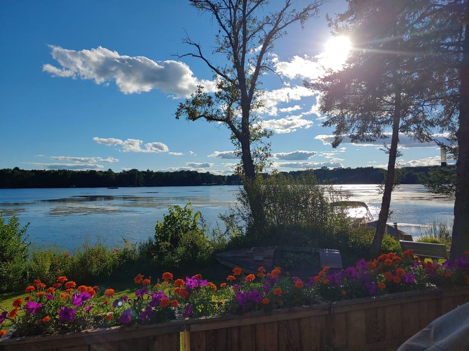 View from property