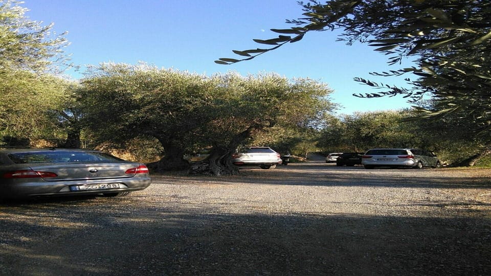 Another shot of our parking in season with customers' machines