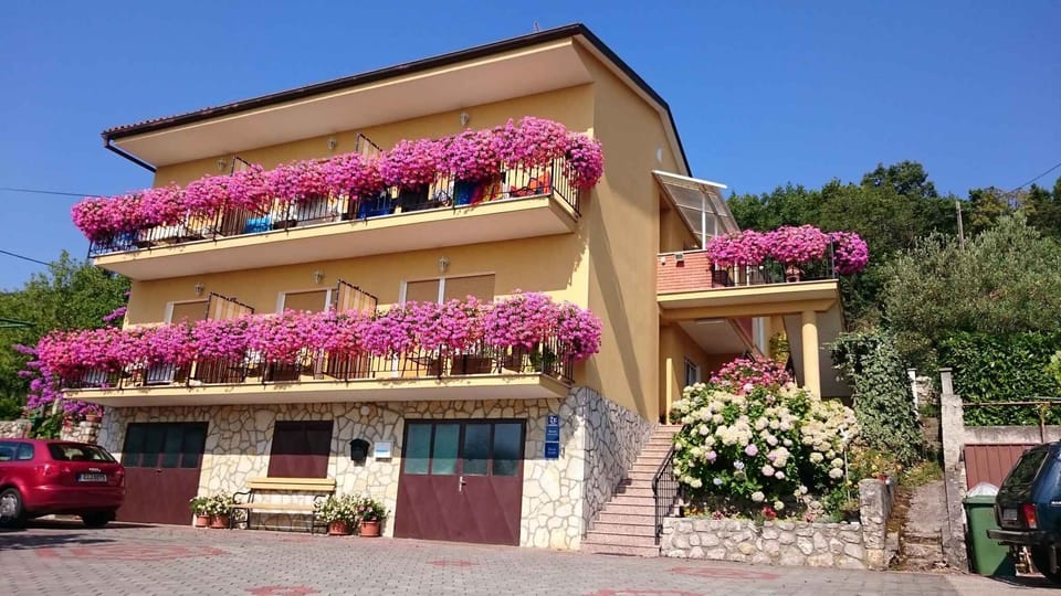 external view