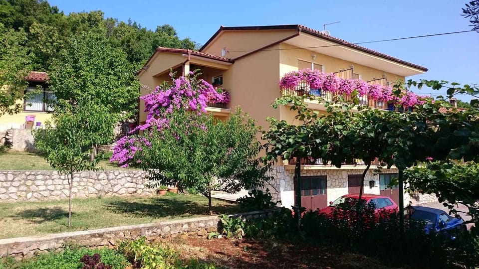external view