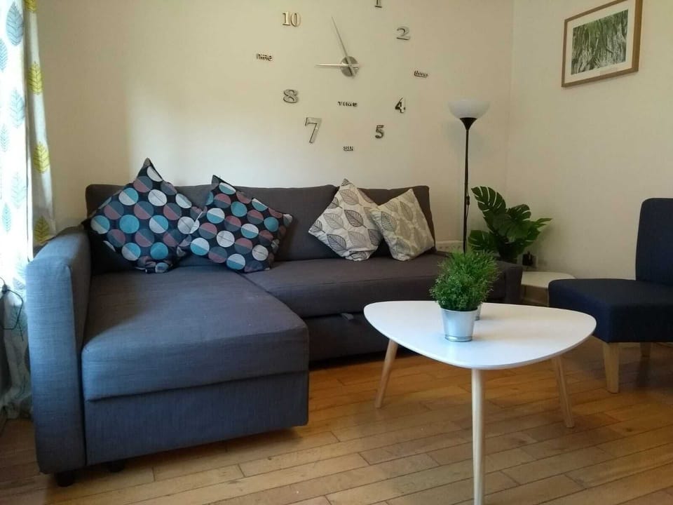 Single Sofa Bed