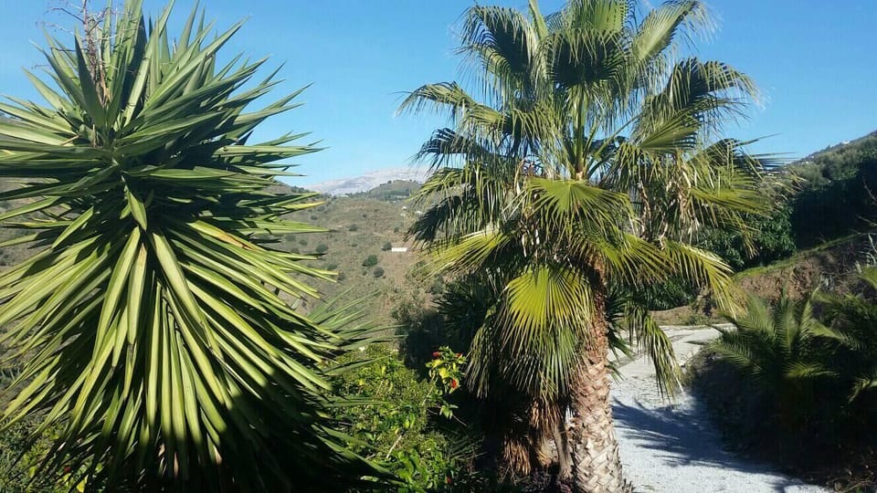 View from the Kitchen window to Maromar mountain.
