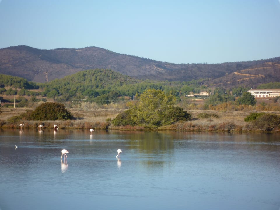 Lake