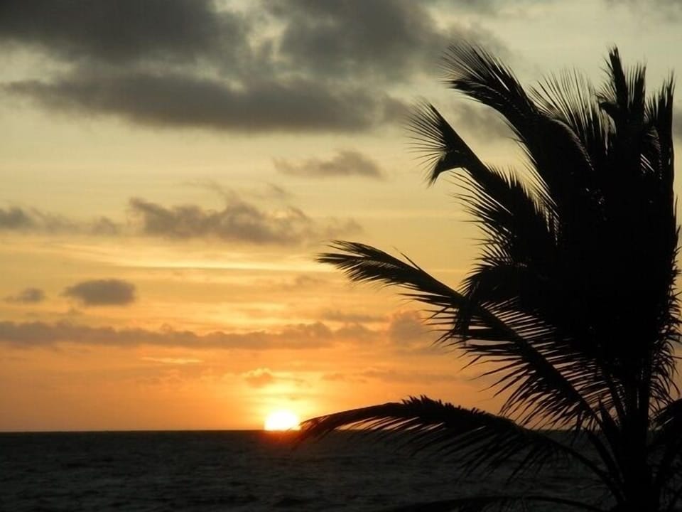 You'll see lots of this. What are you waiting for? Rent me!