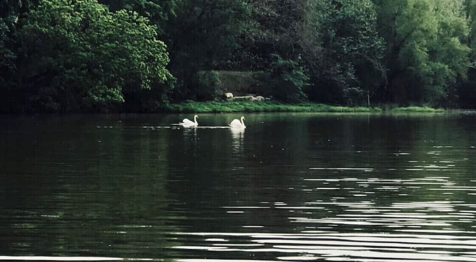 Lake
