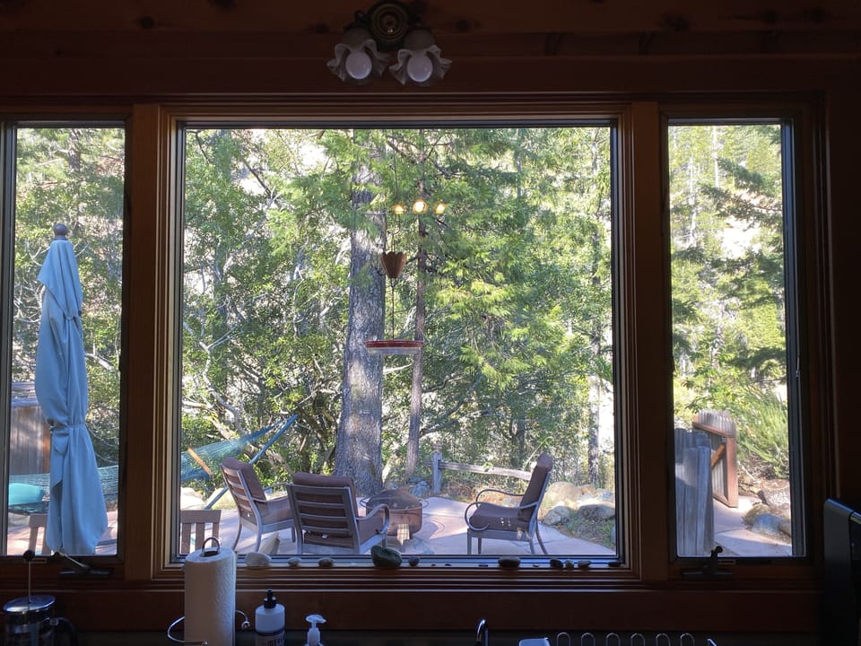 View from the kitchen sink is the perfect place to spot hummingbirds.
