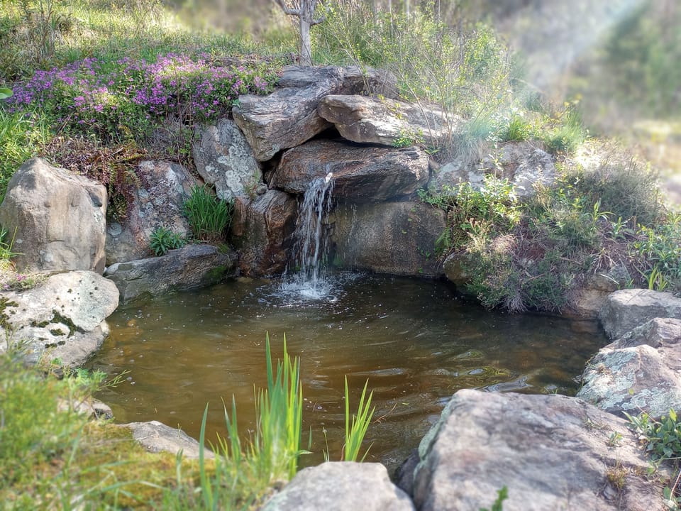 Soothing sound of water in the yard. 