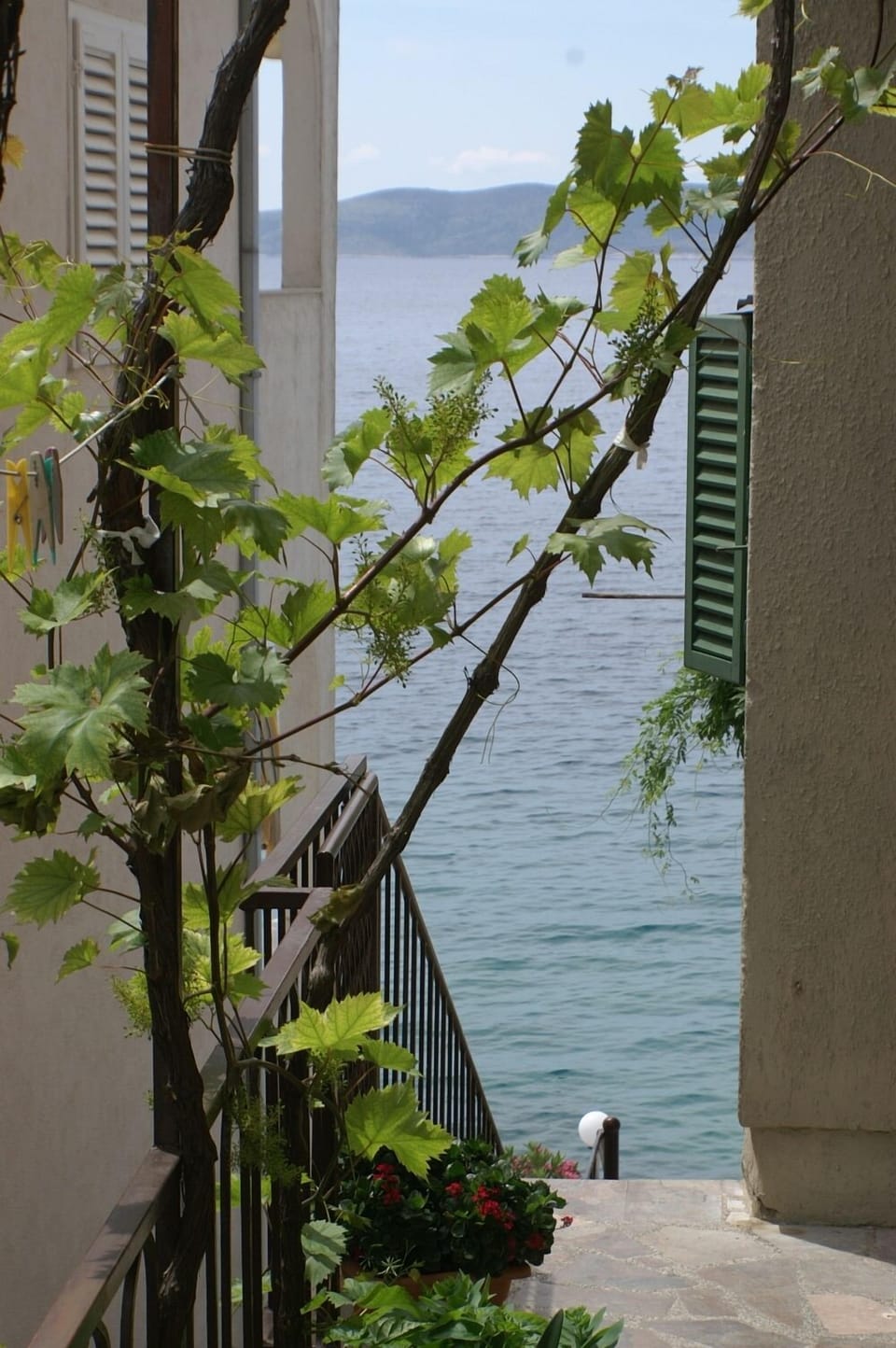 Terrace 1