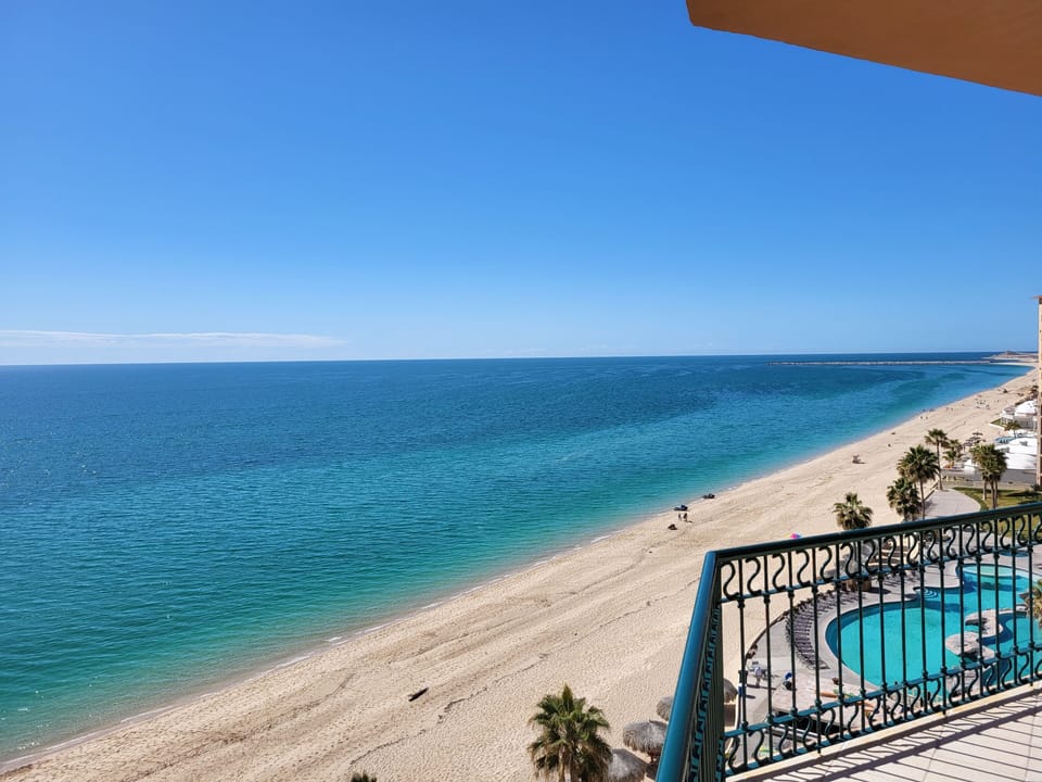 View from the patio