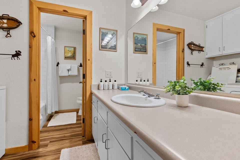 Bathroom and Laundry