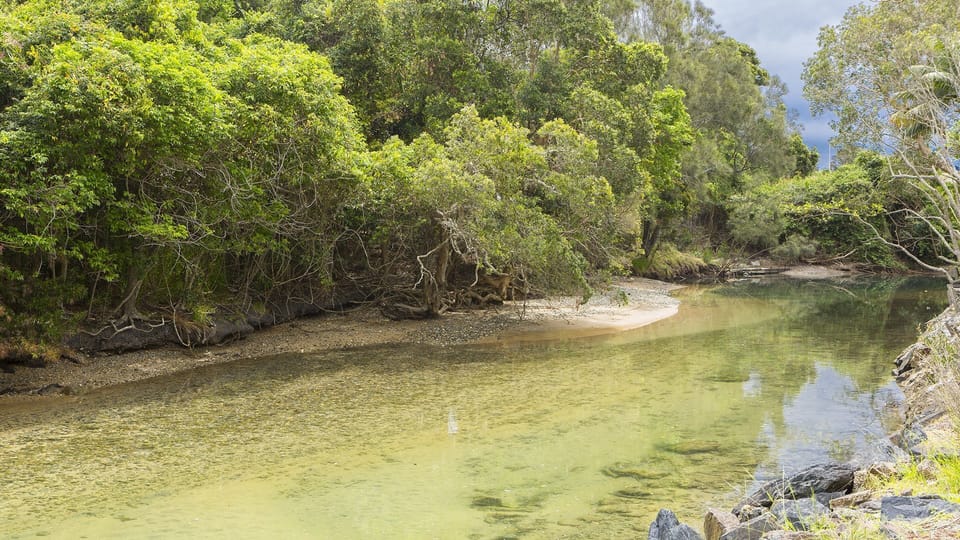 Creek view