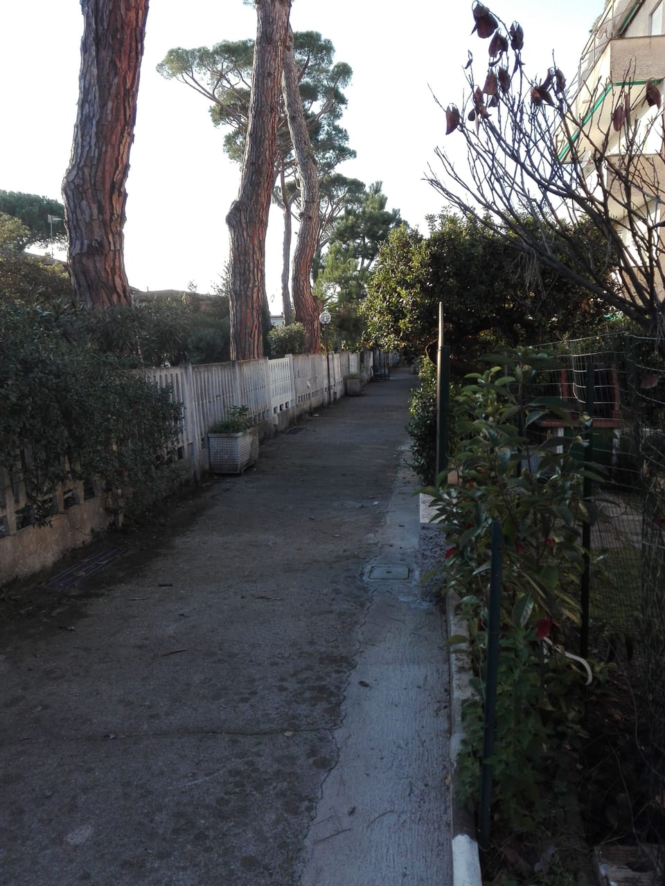 Property grounds