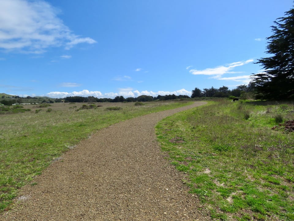 Great walk anytime of day