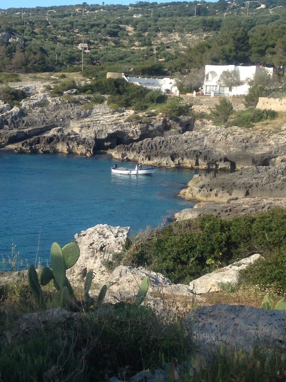 Closest bay to Ammare 