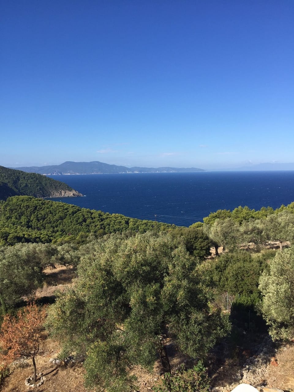 Views down to our olive grove