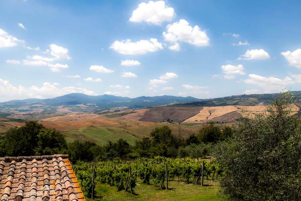 Villa with private pool, hot tub, air conditioning, Wi-fi in Val d'Orcia.  Villa in Tuscany