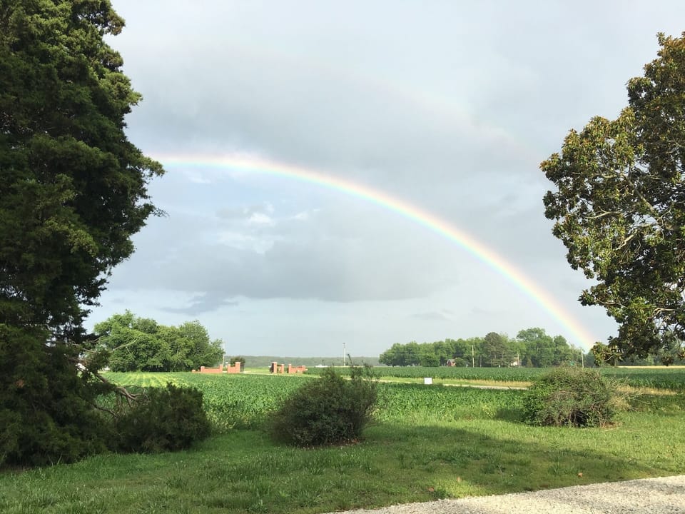 Rainbow over farm
