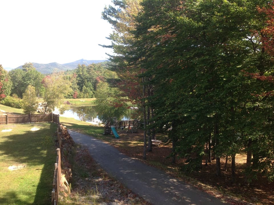 Pond and playground.