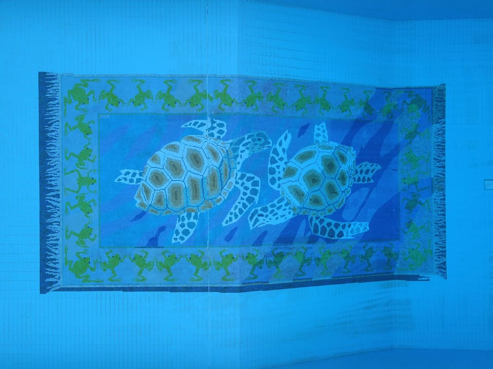 Pool mosaic.