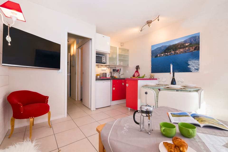 Large flat screen TV