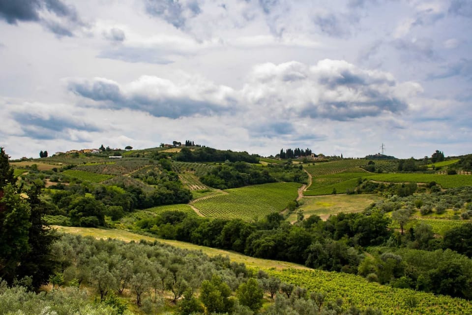Cottage Pino Rural Tuscan retreat in Stunning Hilltop castle Cottage in San Casciano Val Pesa