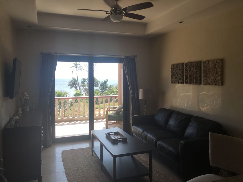 Living room w/ Sleeper Sofa **There is a  Villa being built in front of unit**