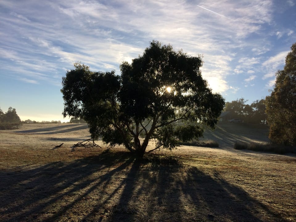 Grounds around the cottages