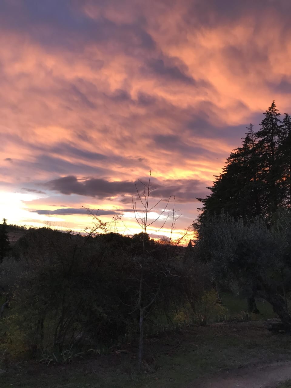 Sunset na propriedade