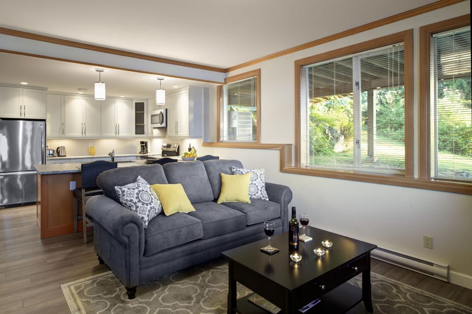 Cozy living room with pull out sofa