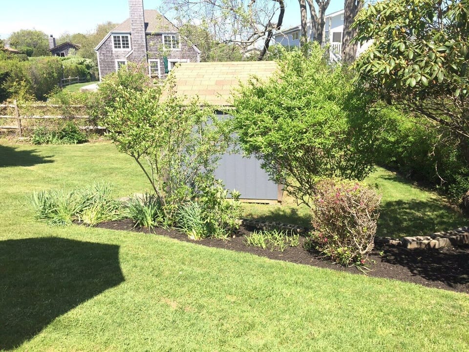 Backyard with Shed