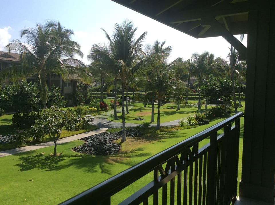 Back yard view 