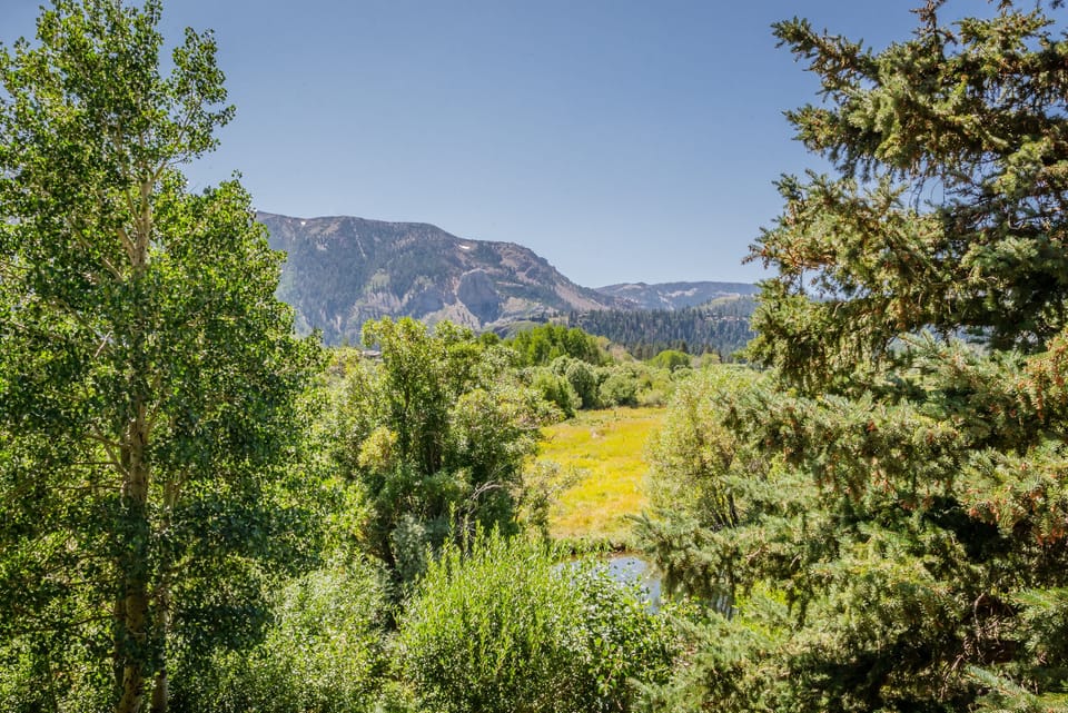 Ahh, the meadow