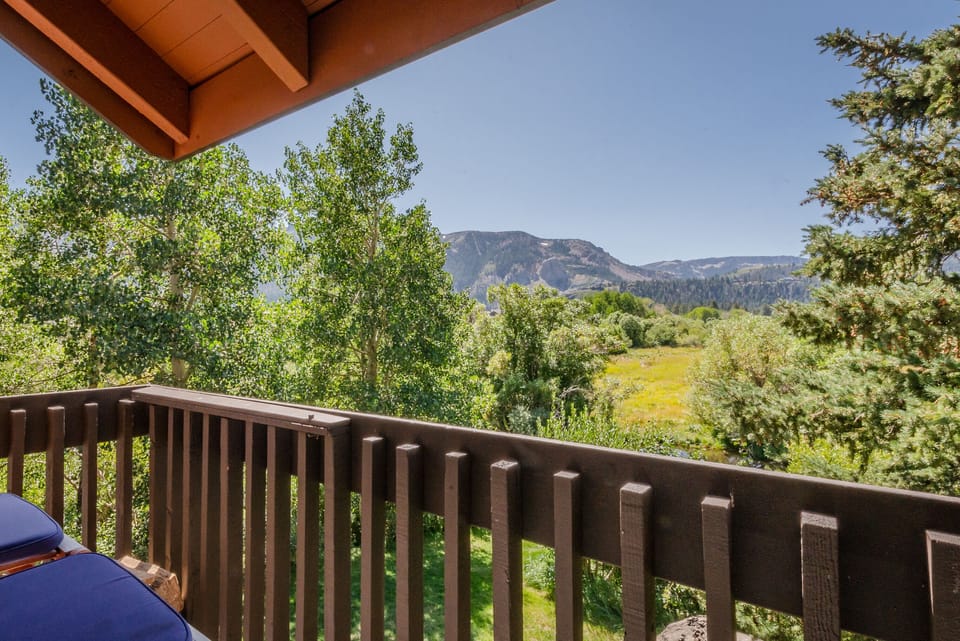 View of Snowcreek Meadow Preserve from upstairs balcony.
