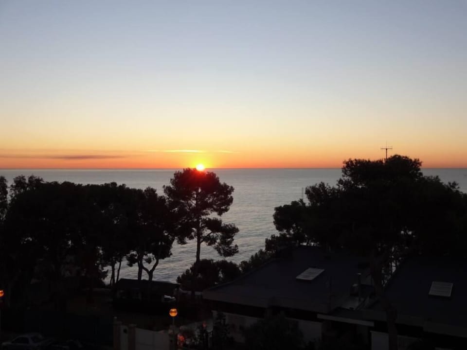 The cove, seen the apartment