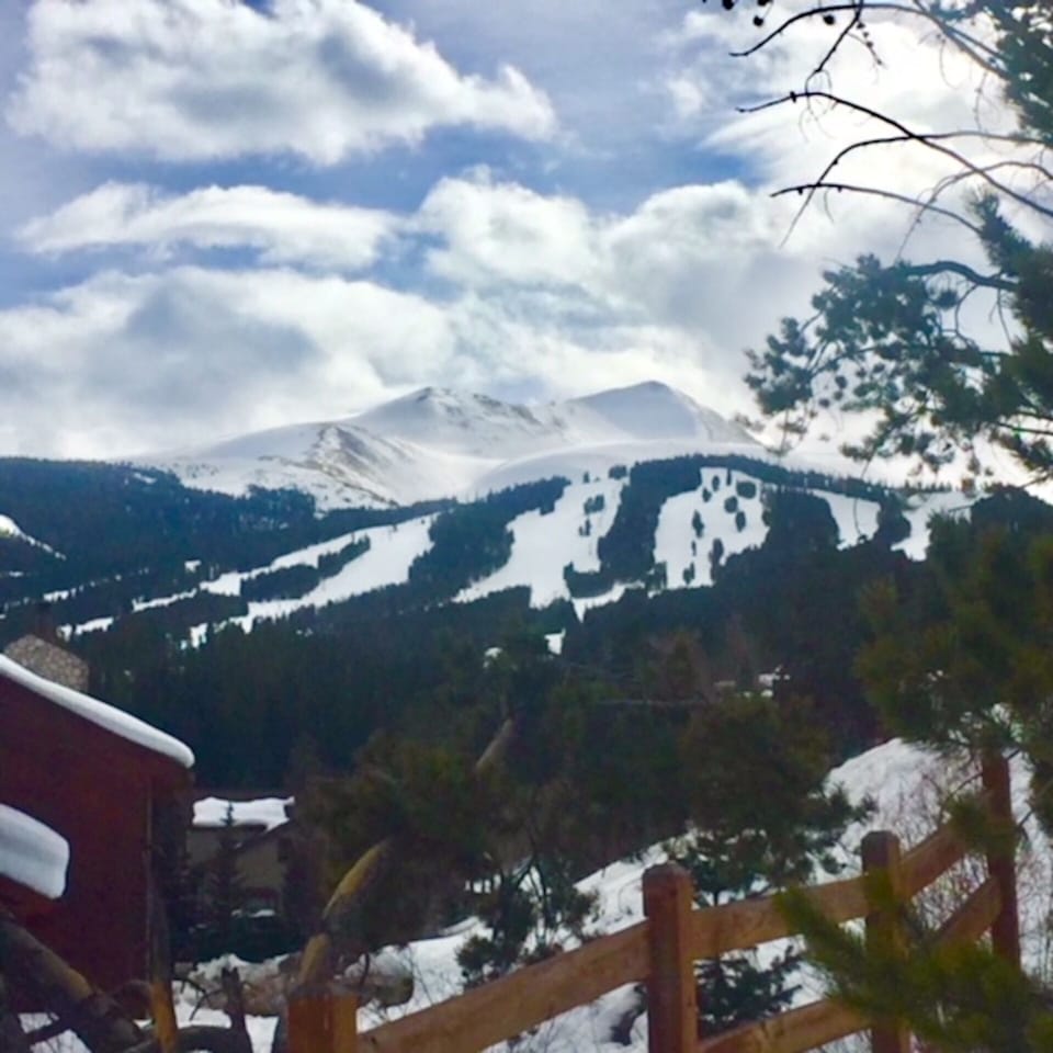 Ski Resort View 