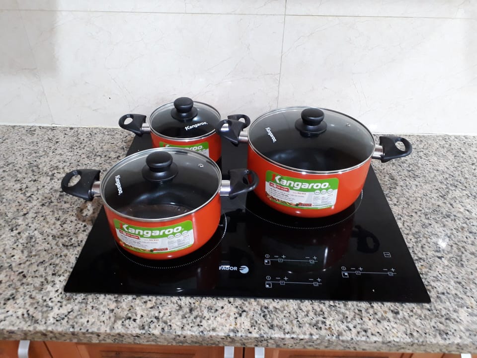 Electric stove