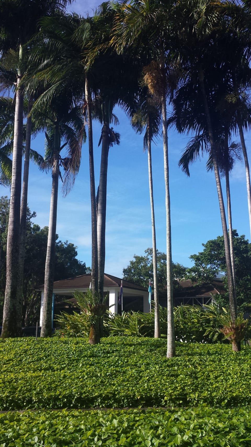 Property grounds