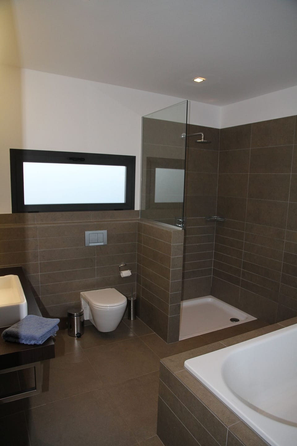Bathroom shower room
