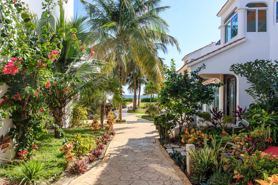 Walk down the path from secure parking towards the  sea & our villa in the front