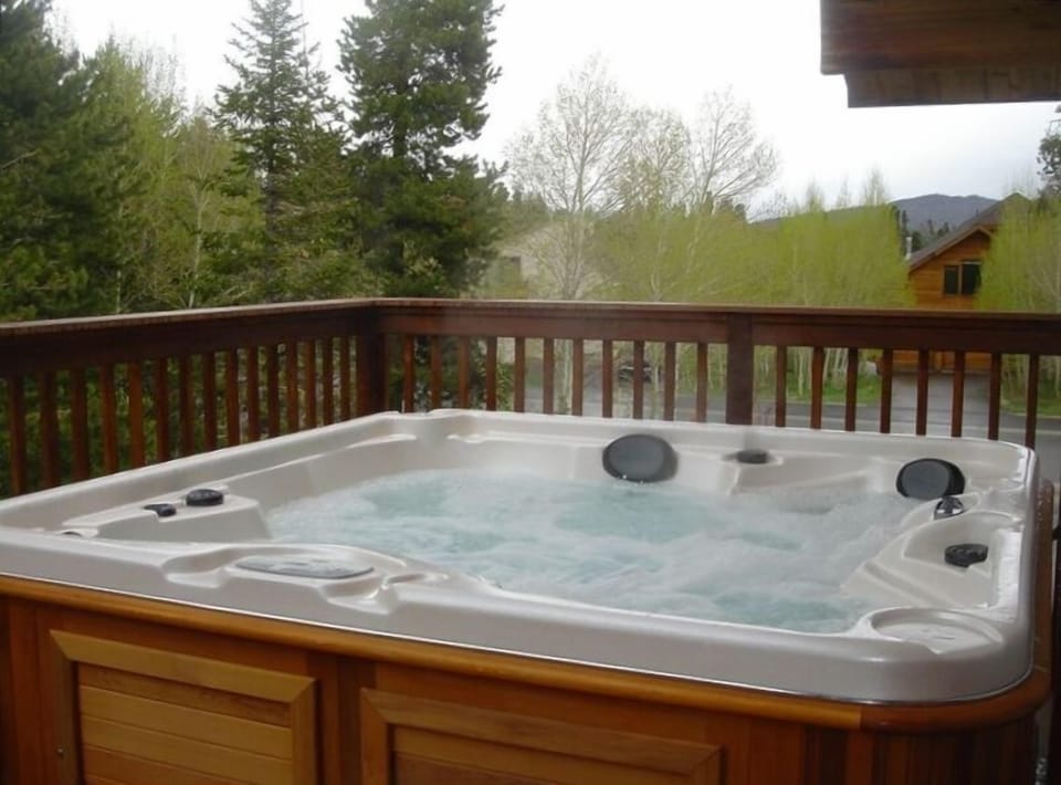 State-of-the-Art Arctic Spa for 8 persons on private  2nd Floor  300 Sq Ft Deck