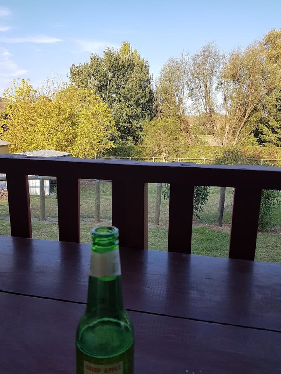 Relaxing on the back deck