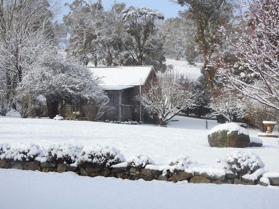 The Cottage after a snowfall