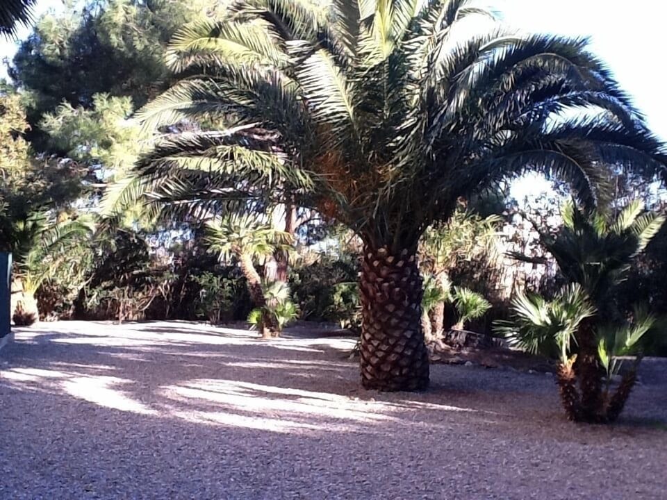 part of garden