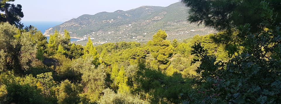 Villa Pegasus: The view