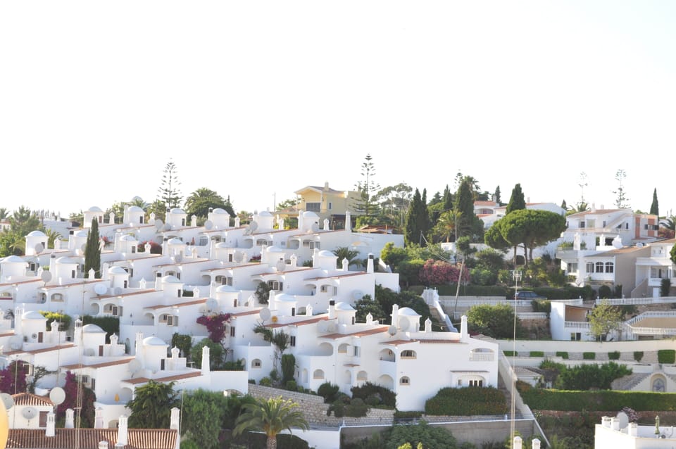 View from the garden