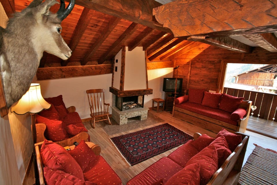 Chamois looks down on sitting area with log fire