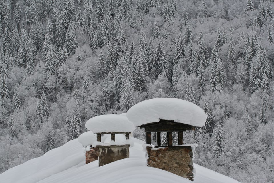 View from kitchen window