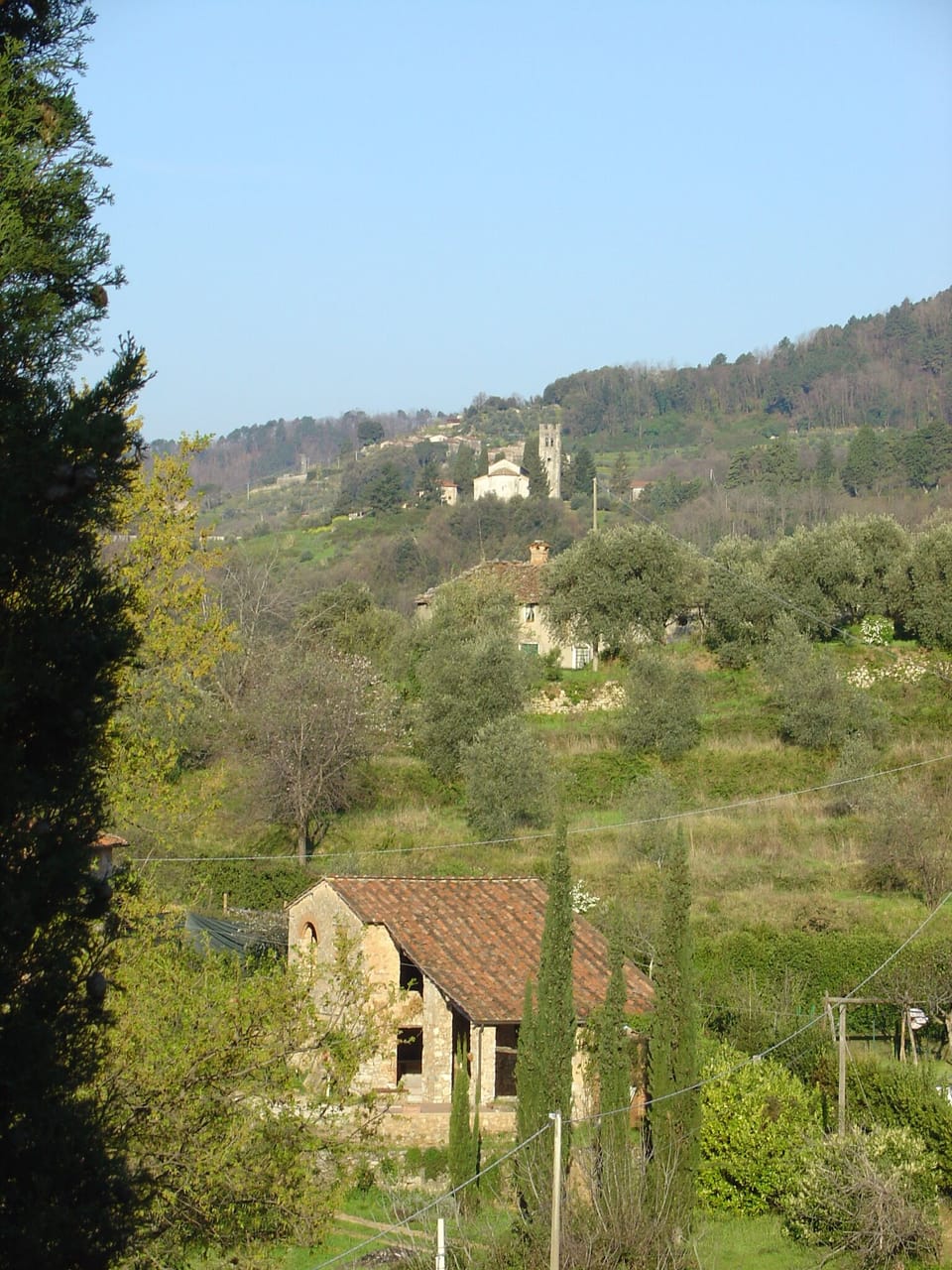 A view from Podere Consani